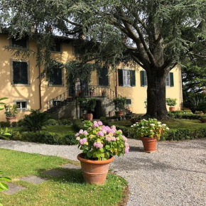 Villa Leoni, Capannori